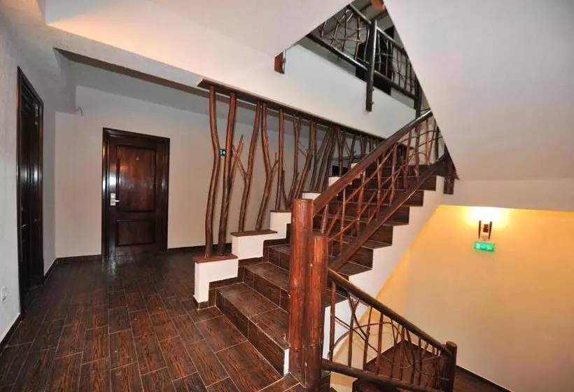 Pensiunea Ursul Carcotas