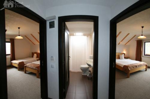 Pensiunea Ursul Carcotas