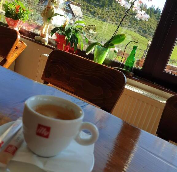 Pensiunea Ursul Carcotas