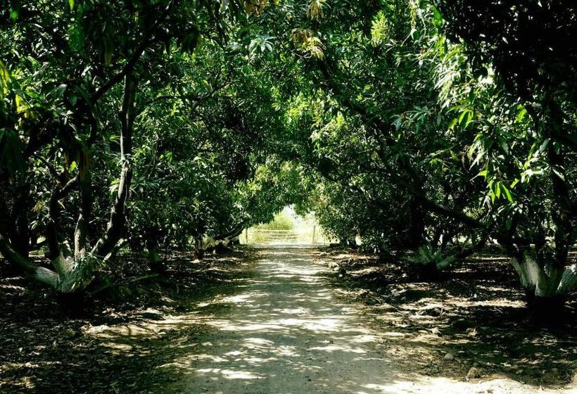 منتجع The Brook Ville