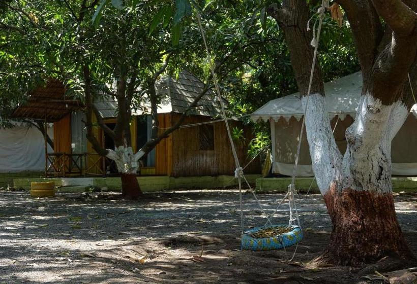 منتجع The Brook Ville