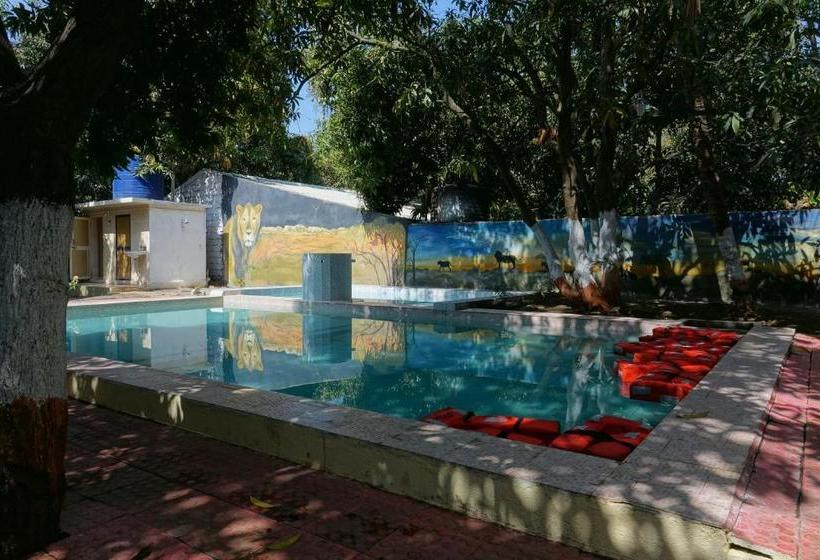 منتجع The Brook Ville