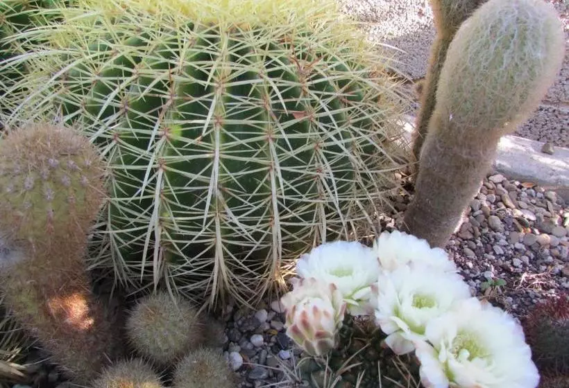 Villa Li Putti Luxury B&b