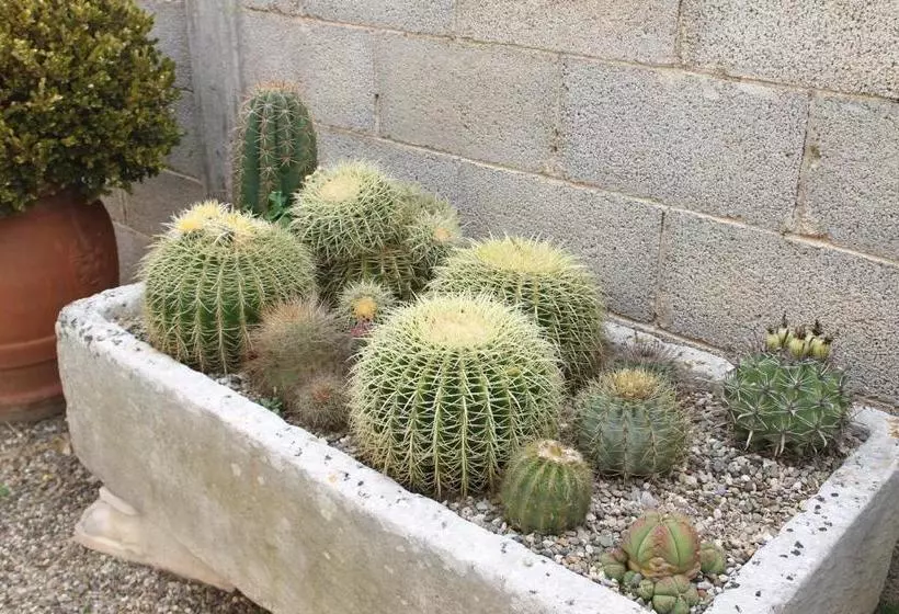 Villa Li Putti Luxury B&b