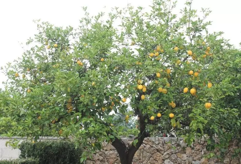 Villa Li Putti Luxury B&b