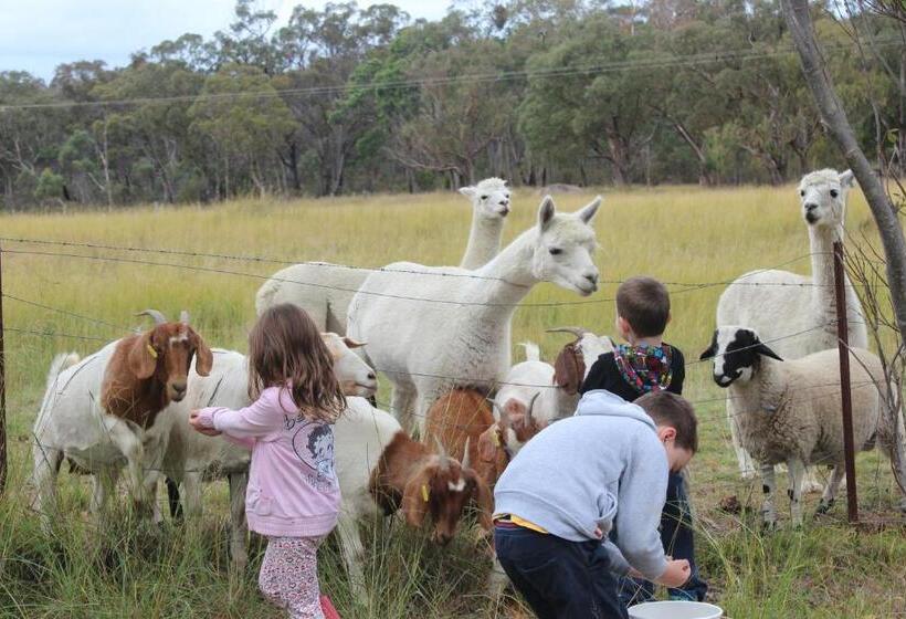 Windswept Country Retreat