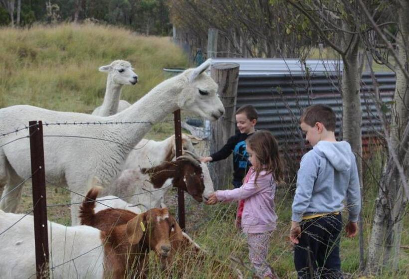 Windswept Country Retreat
