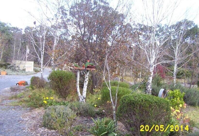 Windswept Country Retreat