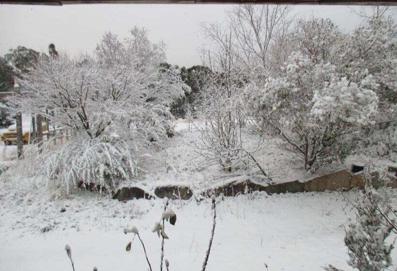 Windswept Country Retreat