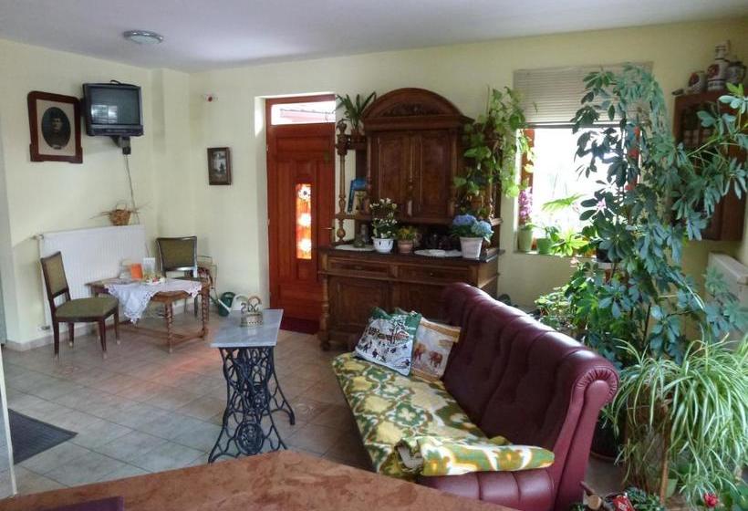 Nocleg ze śniadaniem Edelweiss Panzió