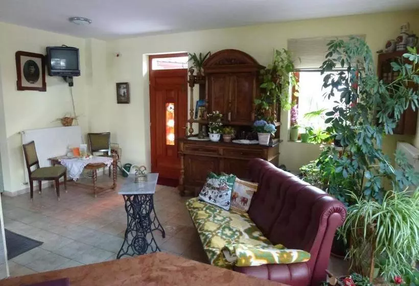 ベッドアンドブレックファースト Edelweiss Panzió