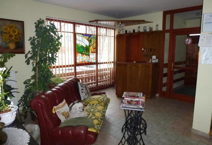 Nocleg ze śniadaniem Edelweiss Panzió