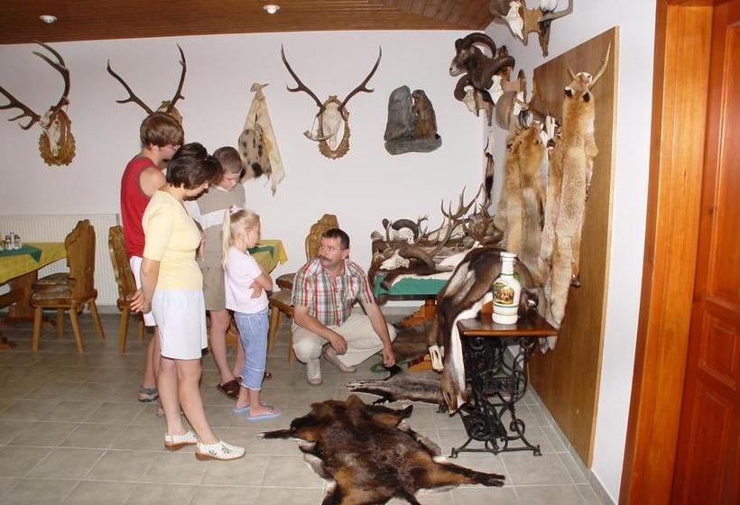 Nocleg ze śniadaniem Edelweiss Panzió