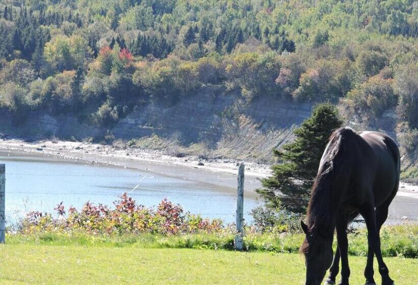 Bed and Breakfast Gite La Maison Rochefort
