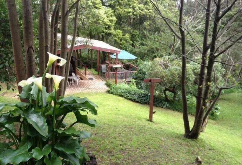 Stone's Throw Cottage Bed And Breakfast