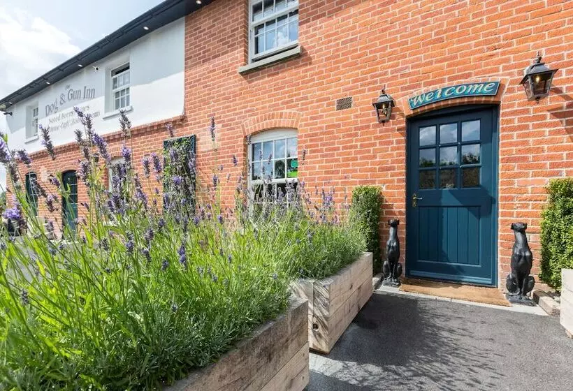 The Dog & Gun Inn