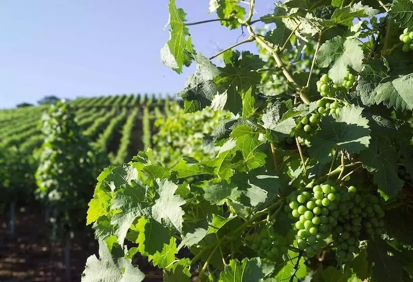 Hotelli Restaurant Zum Nachtwächter