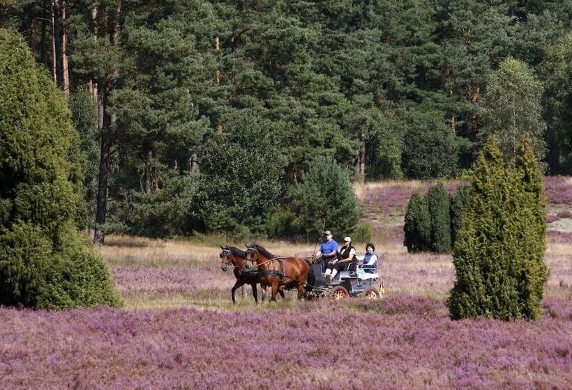 Пансион Ferienhof Cohrs Gästehaus