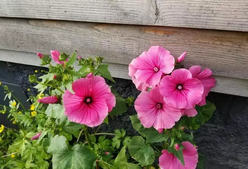 Retkeilymaja Cache Cabins