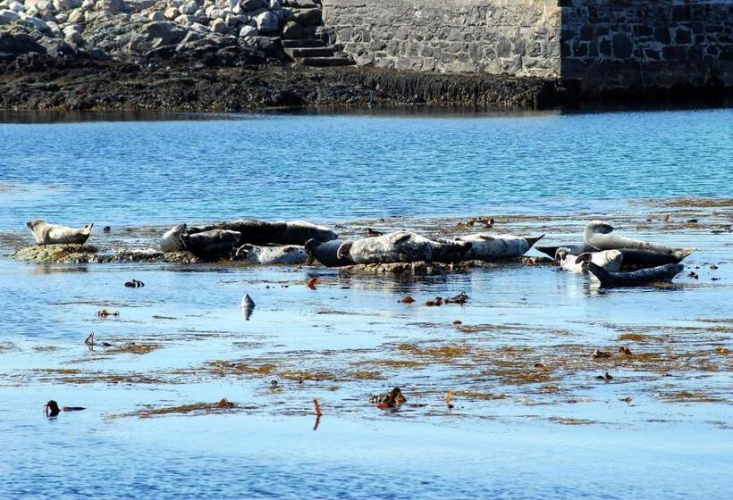 Aamiaismajoitus (B&B) Orsay House