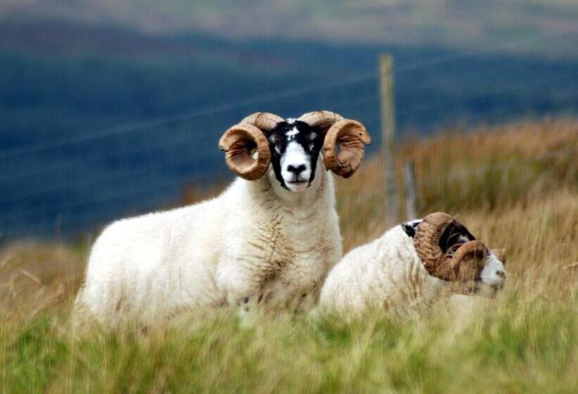 Aamiaismajoitus (B&B) Orsay House