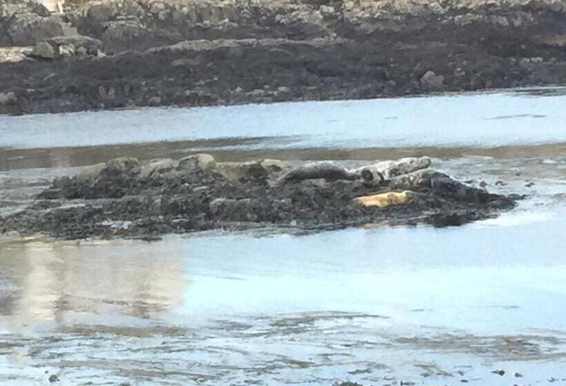 Aamiaismajoitus (B&B) Orsay House