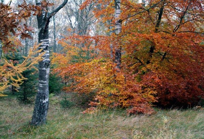 צימר Nordkap Farm Holiday & Hostel