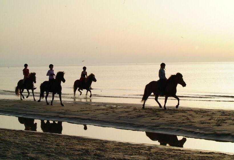 צימר Nordkap Farm Holiday & Hostel