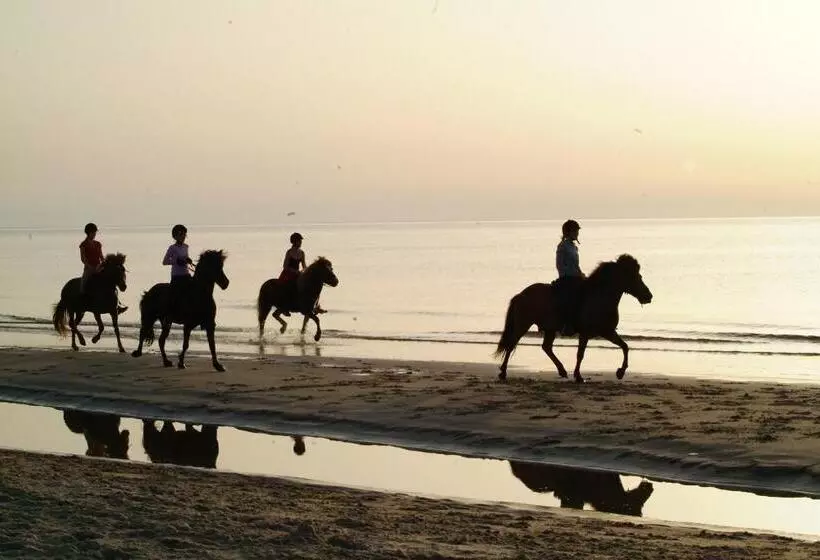 Aamiaismajoitus (B&B) Nordkap Farm Holiday & Hostel