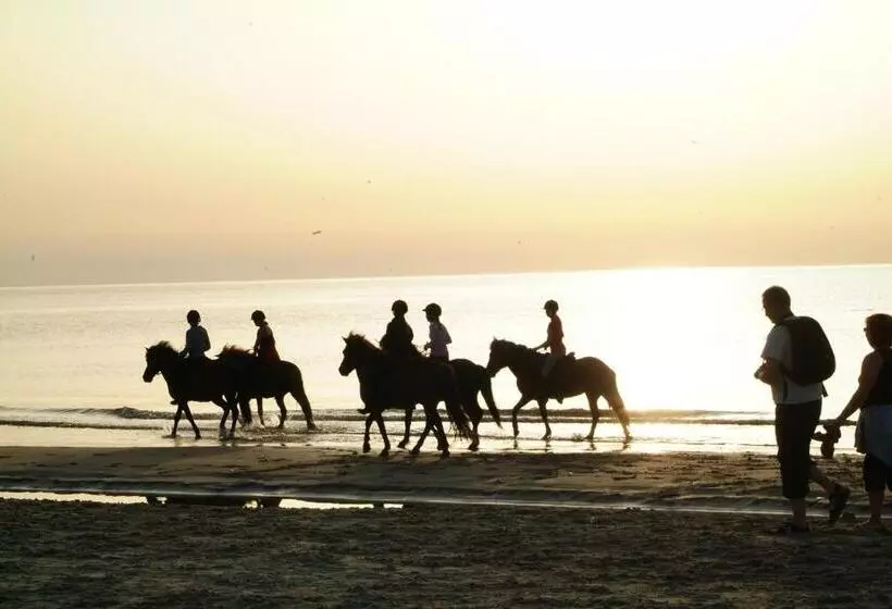 Aamiaismajoitus (B&B) Nordkap Farm Holiday & Hostel