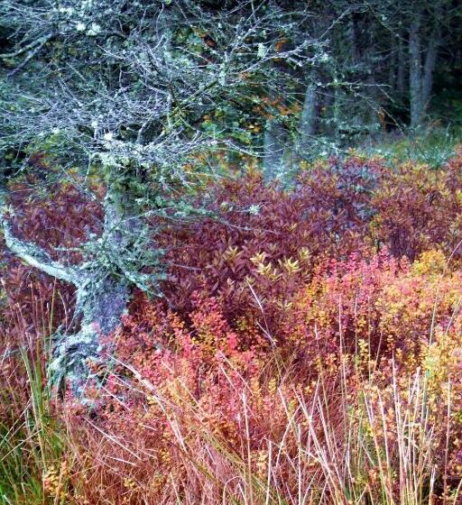 צימר Nordkap Farm Holiday & Hostel