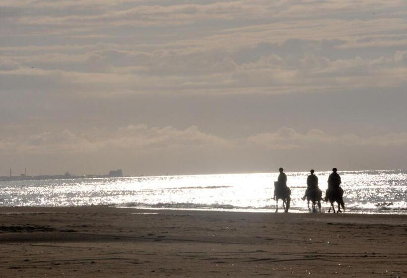 צימר Nordkap Farm Holiday & Hostel