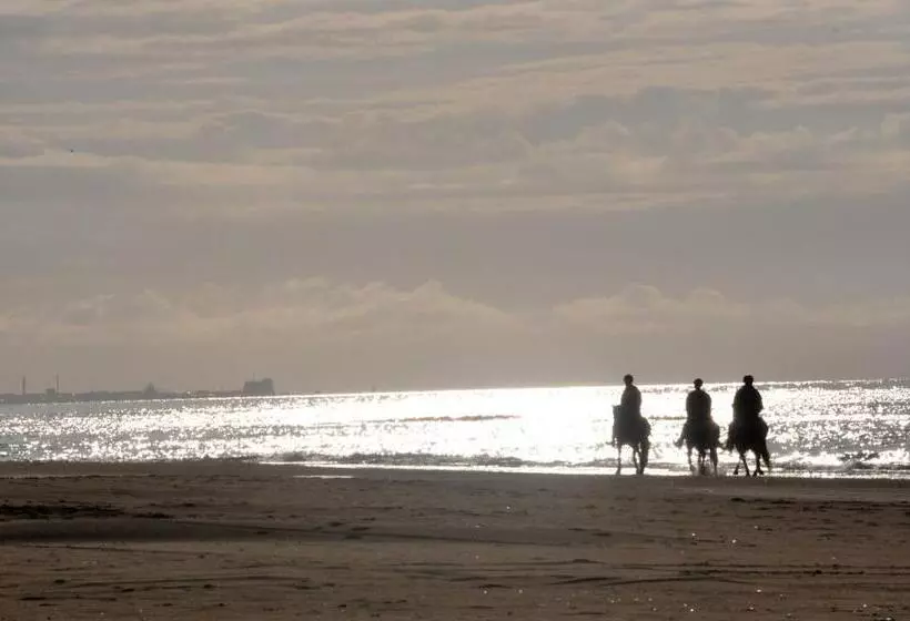 Aamiaismajoitus (B&B) Nordkap Farm Holiday & Hostel