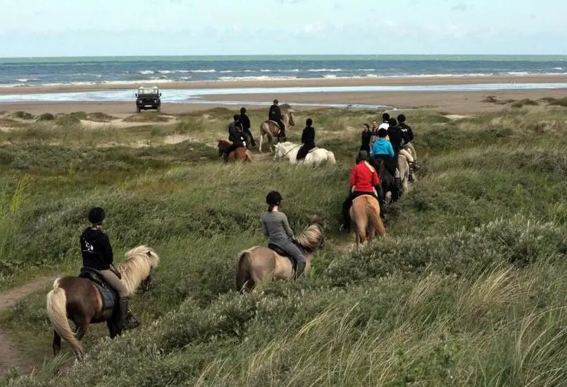 Aamiaismajoitus (B&B) Nordkap Farm Holiday & Hostel