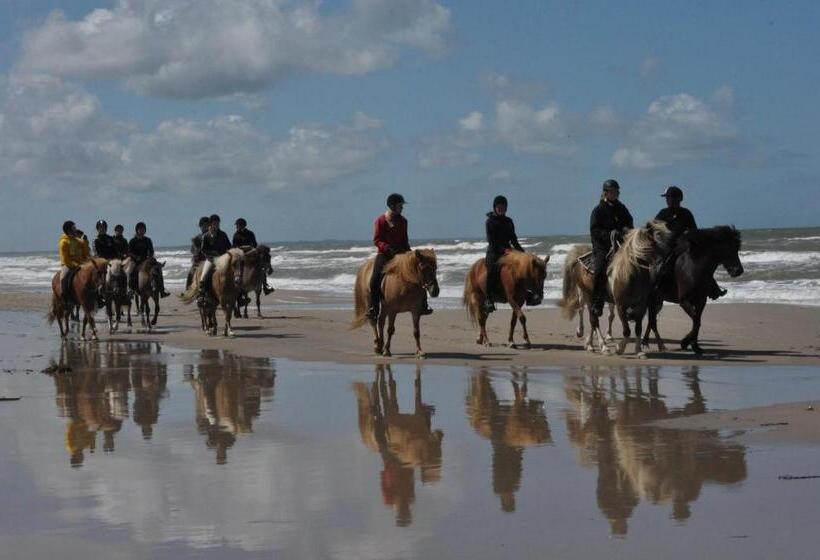 צימר Nordkap Farm Holiday & Hostel