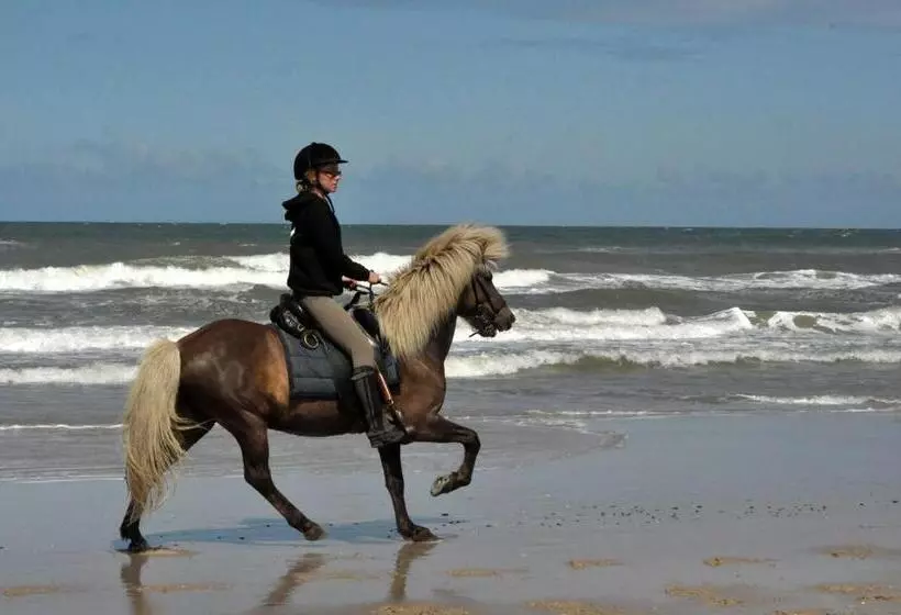 Aamiaismajoitus (B&B) Nordkap Farm Holiday & Hostel