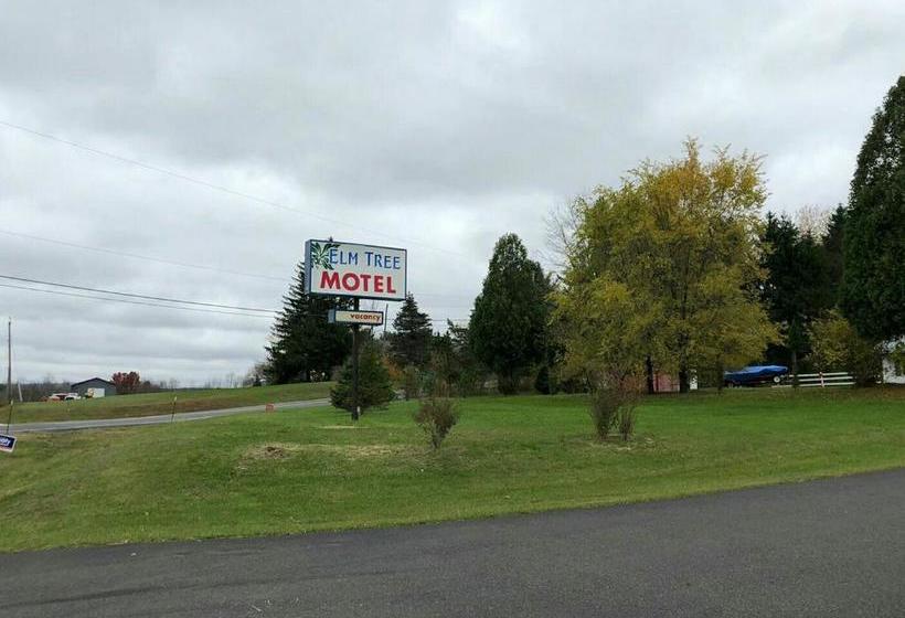 Elm Tree Motel