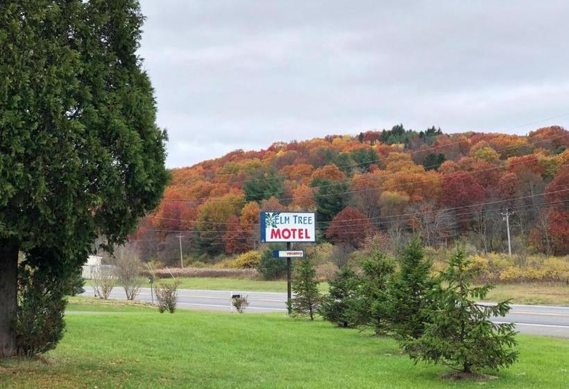 Elm Tree Motel
