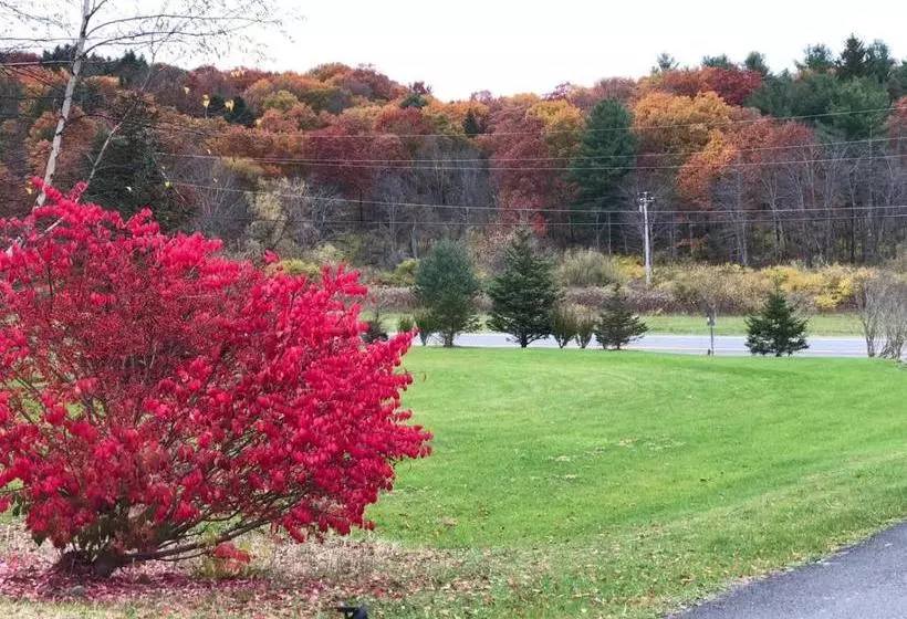 Elm Tree Motel