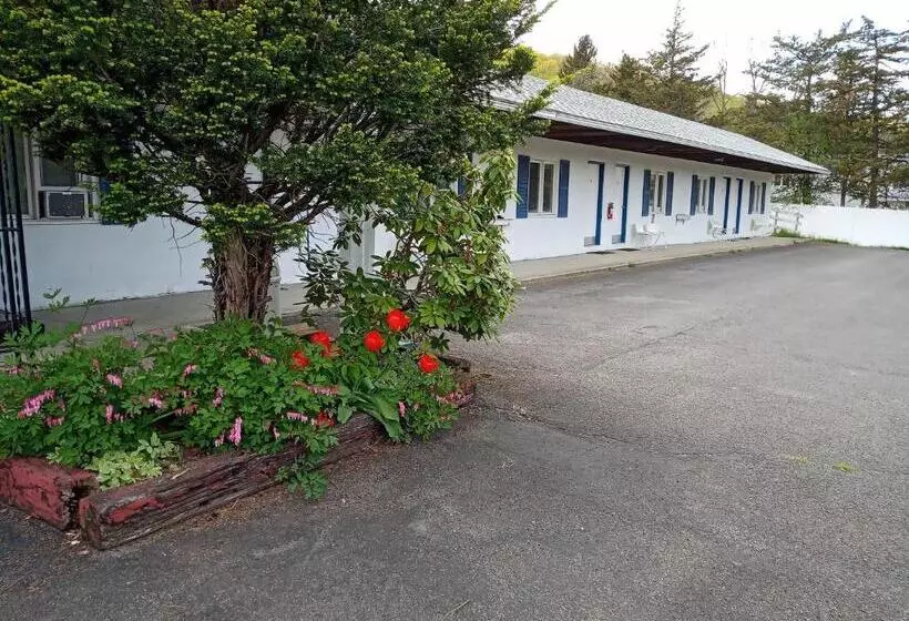 Elm Tree Motel