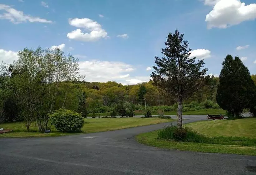 Elm Tree Motel