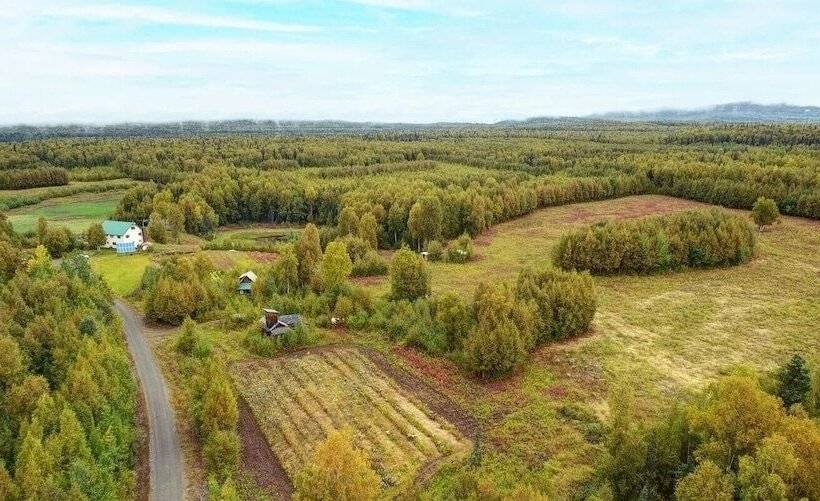 Falcon S Nest Bed & Breakfast