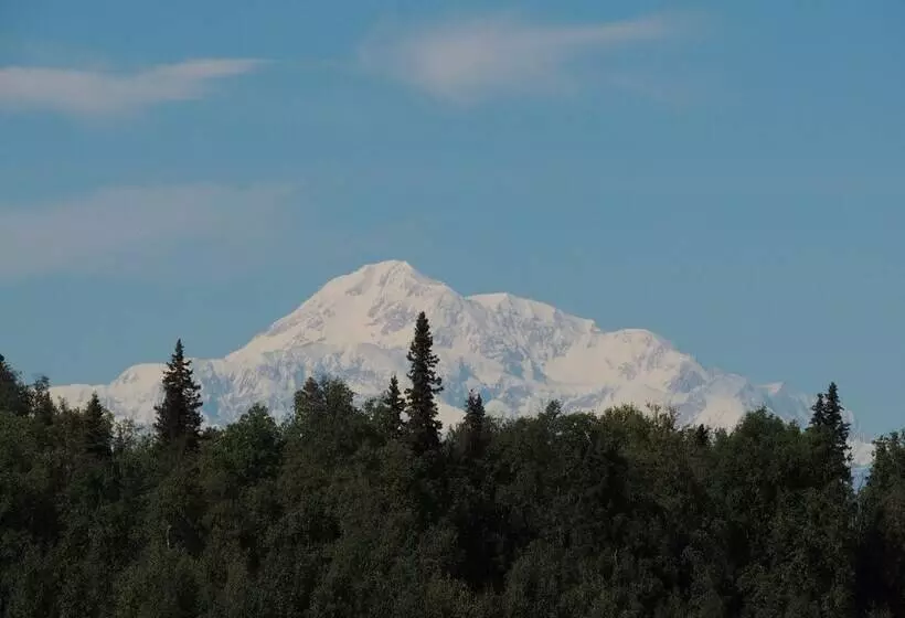 Falcon S Nest Bed & Breakfast