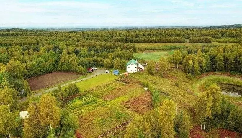 Falcon S Nest Bed & Breakfast