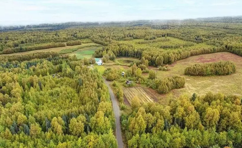 Falcon S Nest Bed & Breakfast