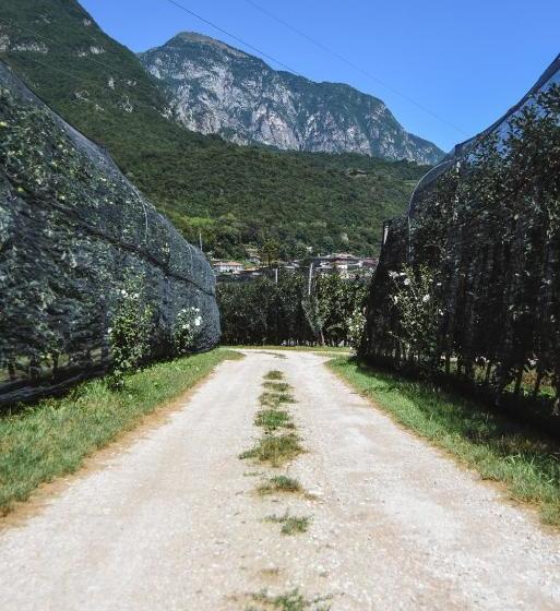 ホテル Agriturismo La Casa Gialla