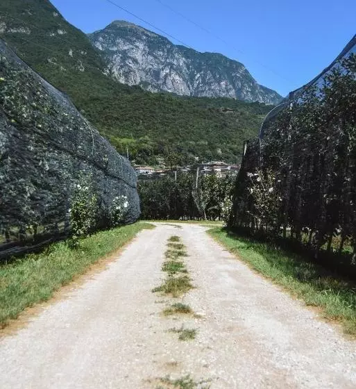 ホテル Agriturismo La Casa Gialla