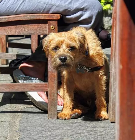 Hotelli Mason S Arms