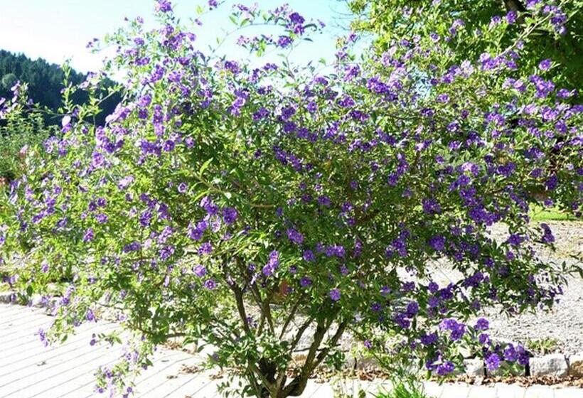 Albergue Gästehaus Reischmann