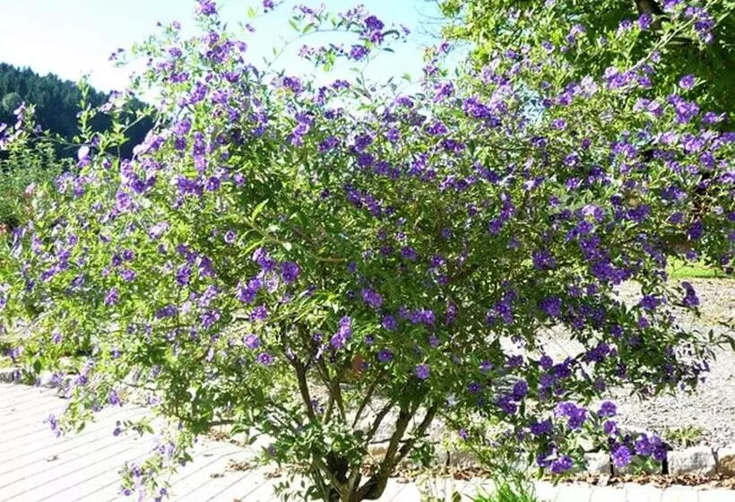 Retkeilymaja Gästehaus Reischmann